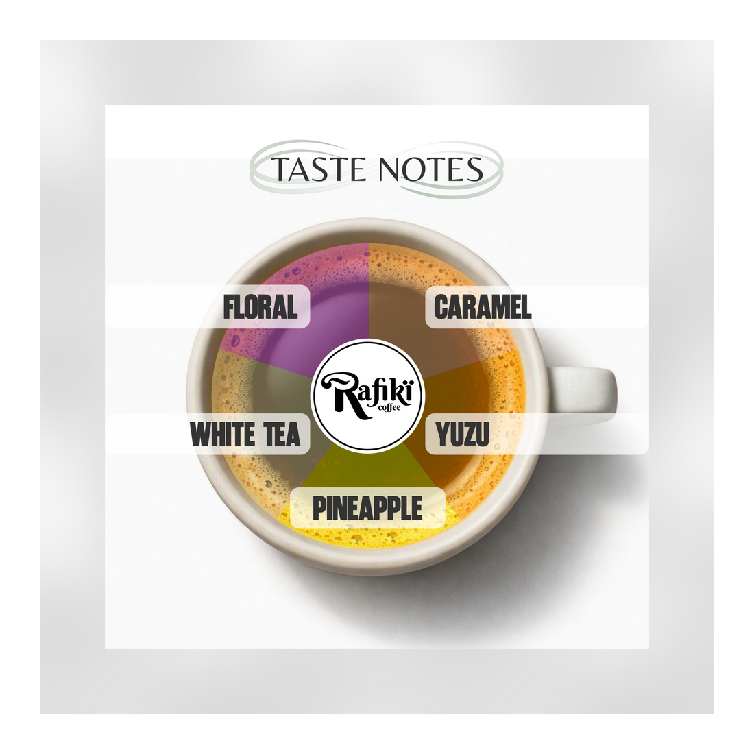 Ethiopia Bekele Balaycho