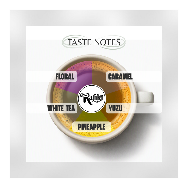 Ethiopia Bekele Balaycho