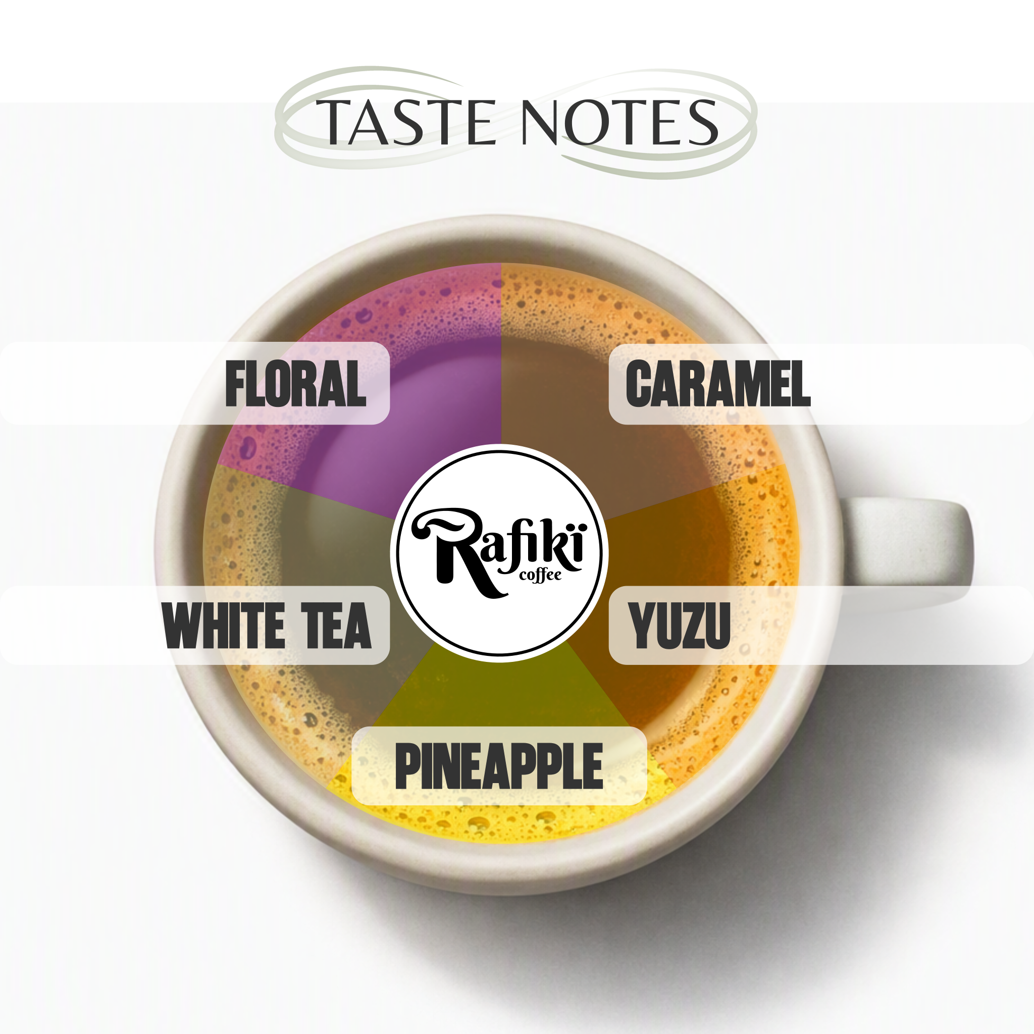 Ethiopia Bekele Balaycho