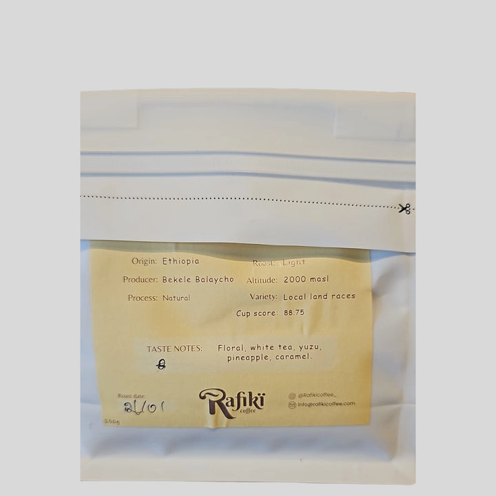 Ethiopa Bekele Balaycho