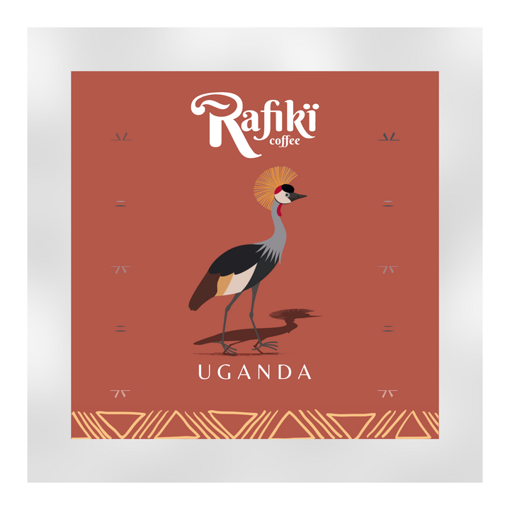 Uganda Rwenzori Washed