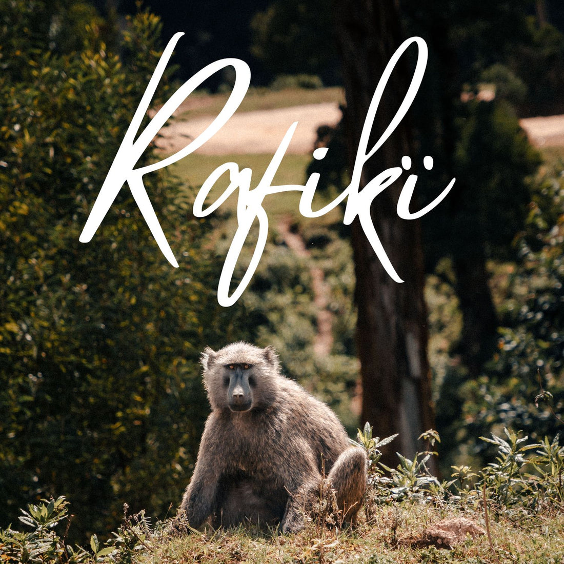 Rafikï subscription